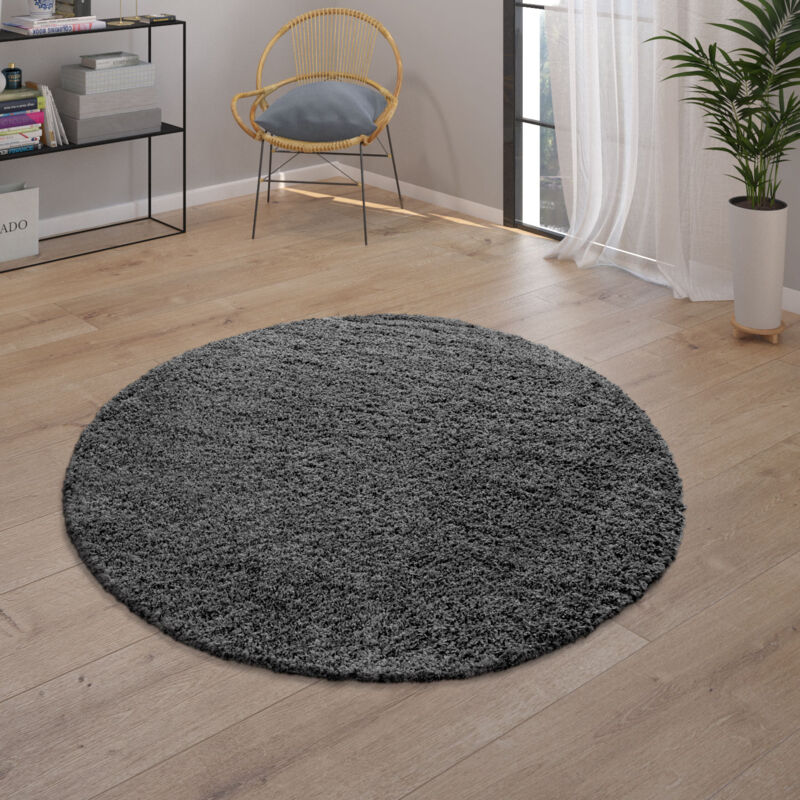 Tapis Poils Longs Gris Anthracite Salon Shaggy Résistant Doux Robuste 120 cm rond - Paco Home
