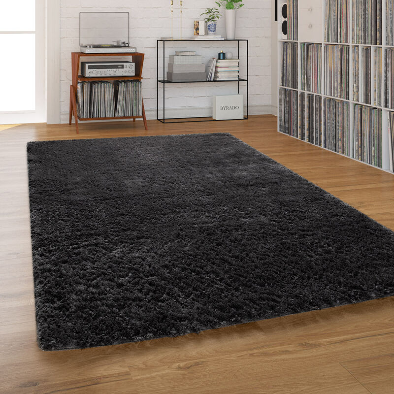 Tapis Poils Longs Pour Salon Et Chambre, Shaggy Uni Anthracite Gris 160x220 cm - Paco Home