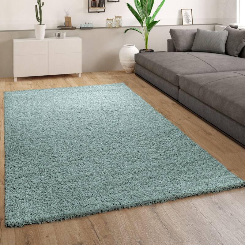 Tapis Poils Longs Salon Turquoise Bleu Moelleux Doux Shaggy Résistant 60x100 cm - Paco Home