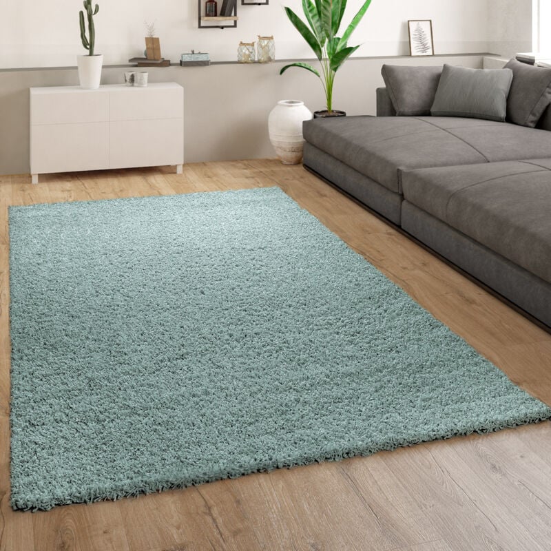 Tapis Poils Longs Salon Turquoise Bleu Moelleux Doux Shaggy Résistant 160x220 cm - Paco Home
