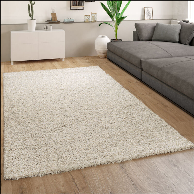 Tapis Poils Longs Shaggy Beige Salon Chambre Agréable Doux Robuste 140x200 cm - Paco Home
