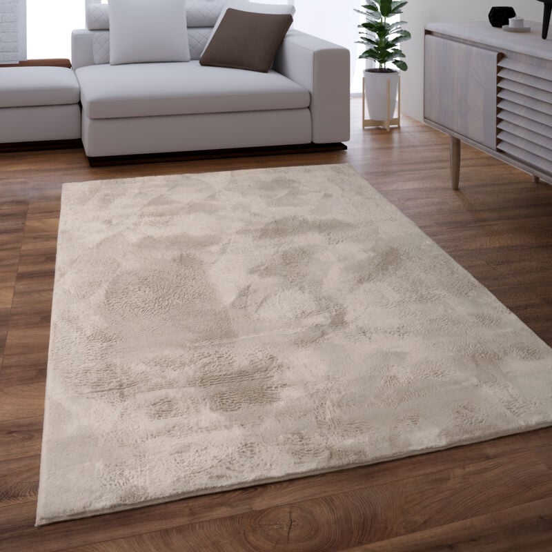 Tapis Salon Adulte Poil Long Shaggy Lavable En Machine Moelleux Pelucheux Beige 160x230 cm - Paco Home