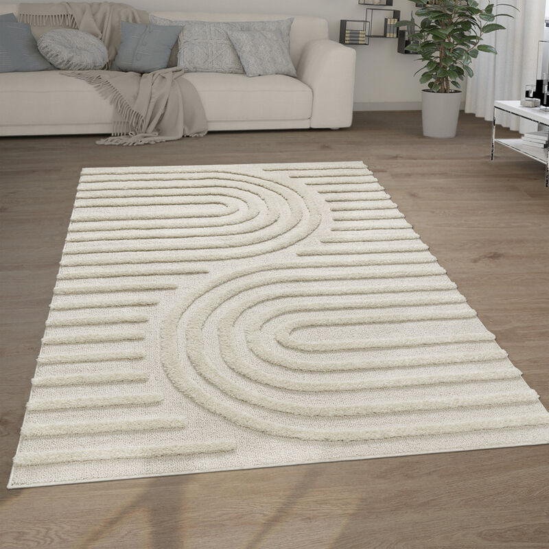Paco Home - Tapis Poils Longs Tapis Salon Shaggy Aspect 3D Ethnique Boho Look Vintage Doux 60x100 cm, Crème 7