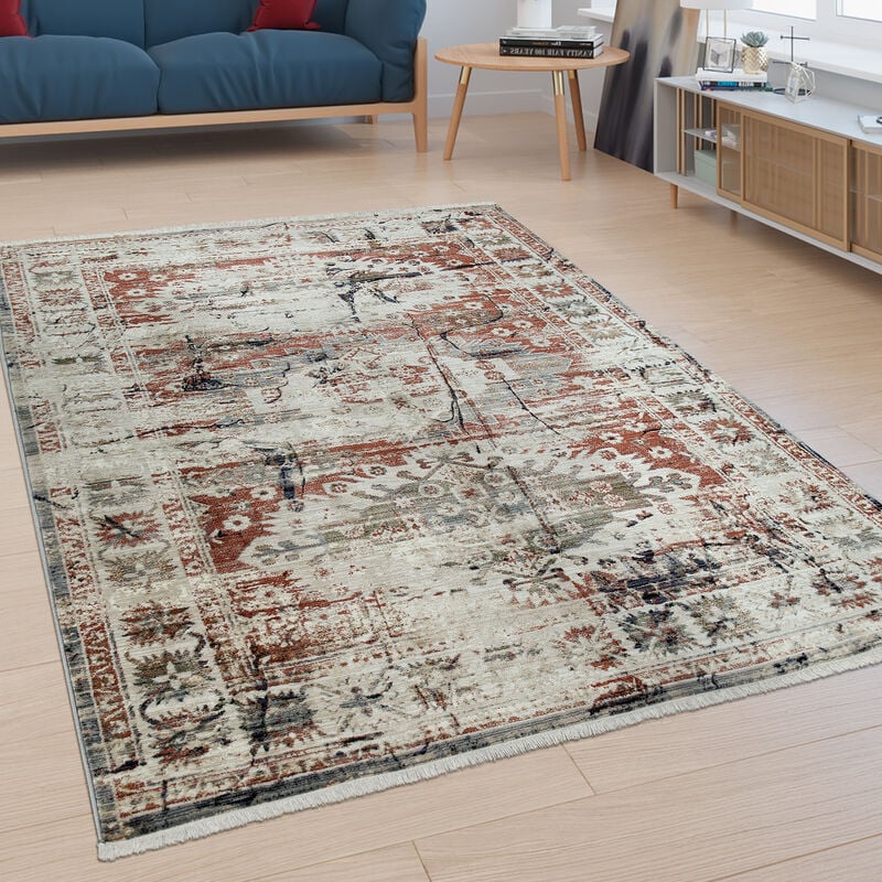 Tapis Poils Ras Salon Bordure Design Oriental Moderne Aspect Usé Coloré 80x150 cm - Paco Home