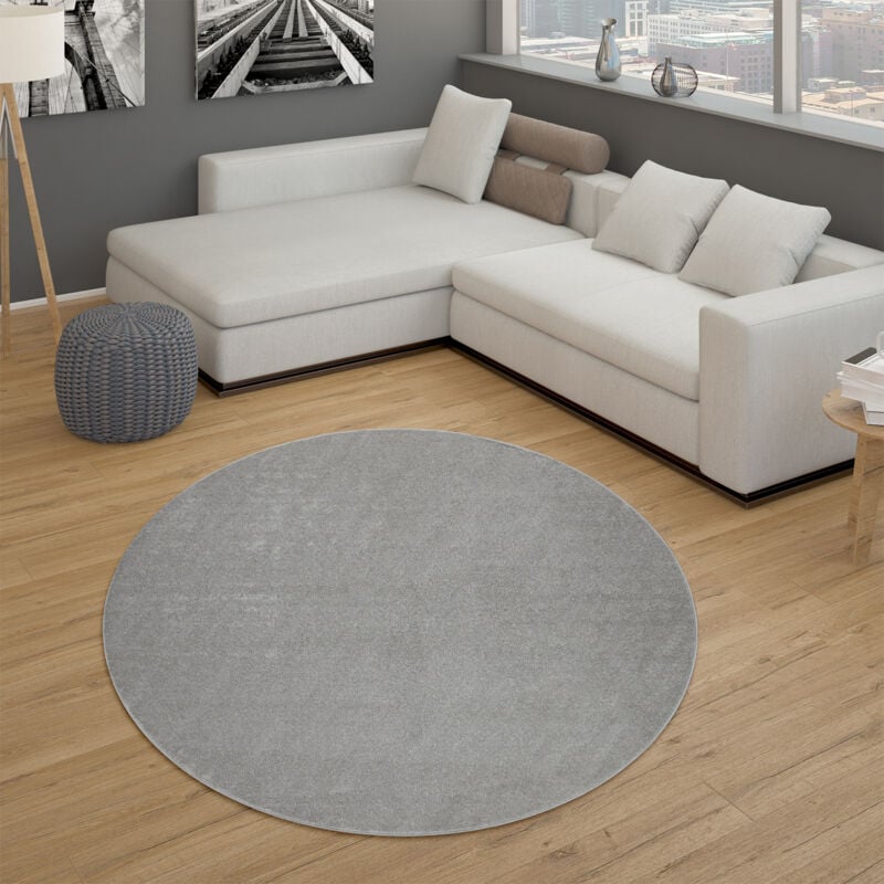 Tapis pour Salon Uni Poils Ras Sobre Et Moderne, Argenté 200 cm rond - Paco Home