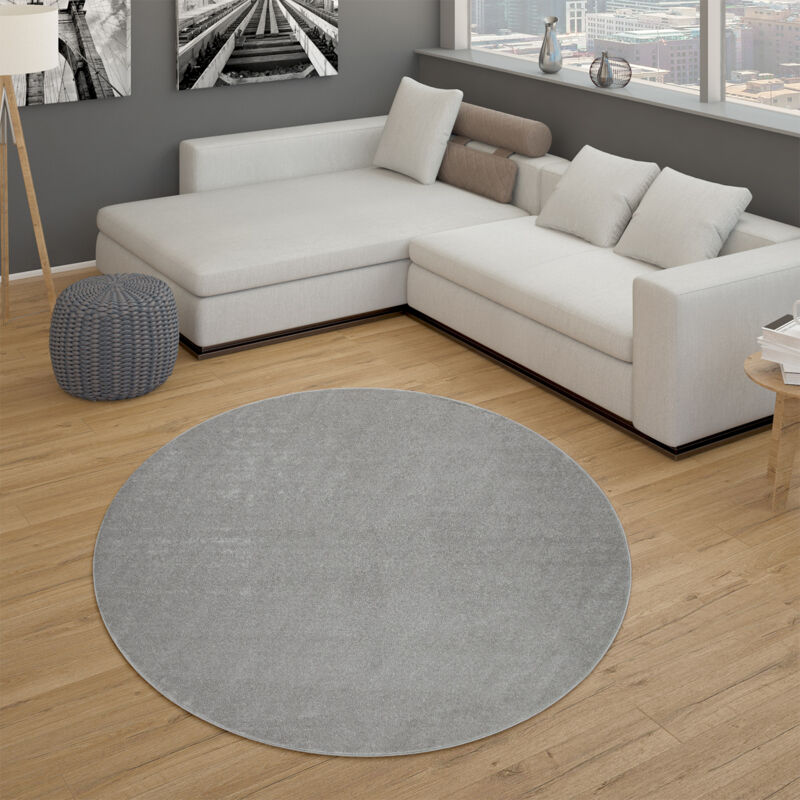 Paco Home - Tapis pour Salon Uni Poils Ras Sobre Et Moderne, Argenté 120 cm rond