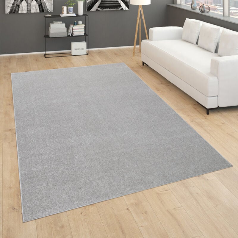 Paco Home - Tapis pour Salon Uni Poils Ras Sobre Et Moderne, Argenté 160x220 cm