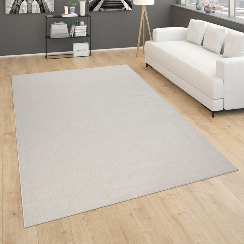Paco Home - Tapis pour Salon Uni Poils Ras Sobre Et Moderne, Crème 120x170 cm