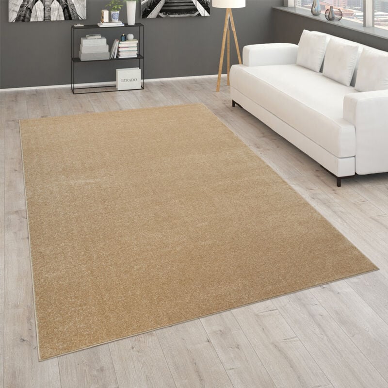 Tapis Pour Salon Uni Poils Ras Sobre Et Moderne Doré Beige 200x280 cm - Paco Home