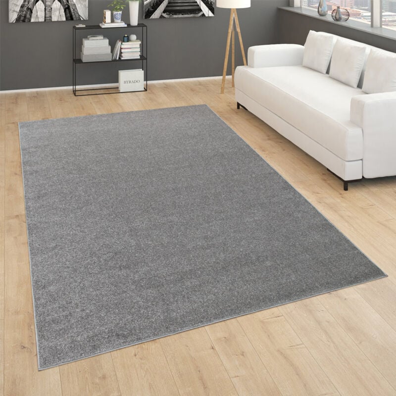 Paco Home - Tapis pour Salon Uni Poils Ras Sobre Et Moderne, Gris Foncé 80x150 cm