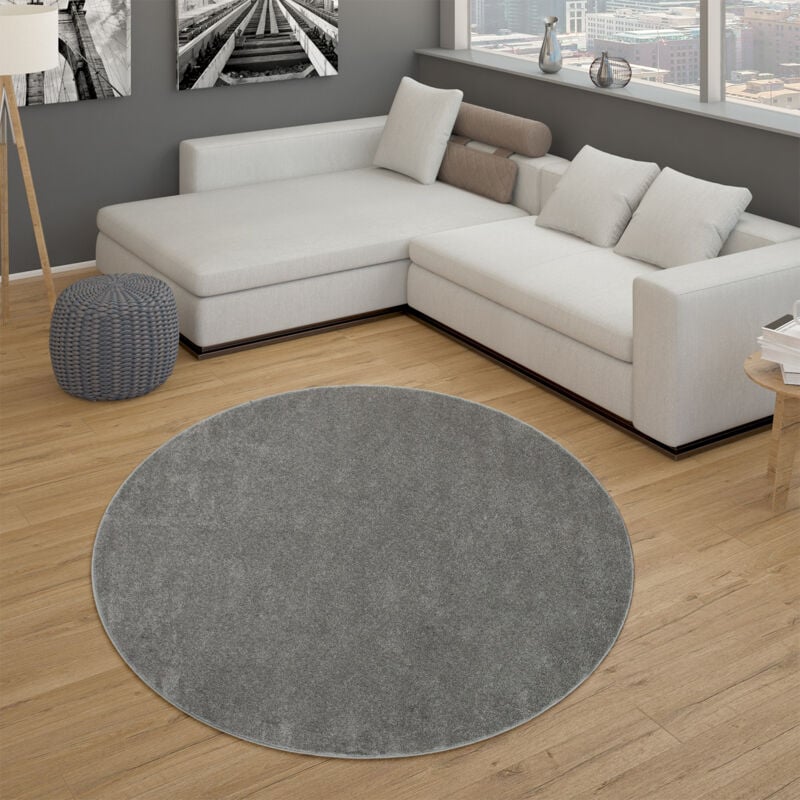 Tapis pour Salon Uni Poils Ras Sobre Et Moderne, Gris Foncé 200 cm rond - Paco Home