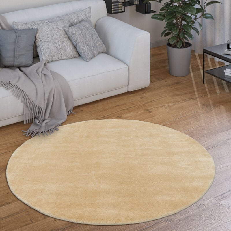 Tapis Rond Salon Tapis Poil Ras Moderne Moelleux Lavable Monochrome Beige, 200 cm rond - Paco Home