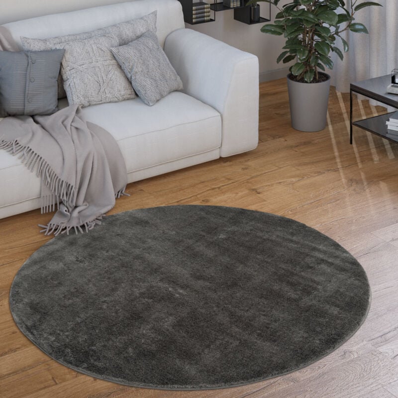 Tapis Rond Salon Tapis Poil Ras Moderne Moelleux Lavable Monochrome Anthracite, 200 cm rond - Paco Home