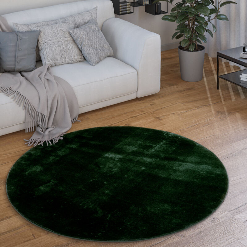 Tapis Rond Salon Tapis Poil Ras Moderne Moelleux Lavable Monochrome Vert, 200 cm rond - Paco Home