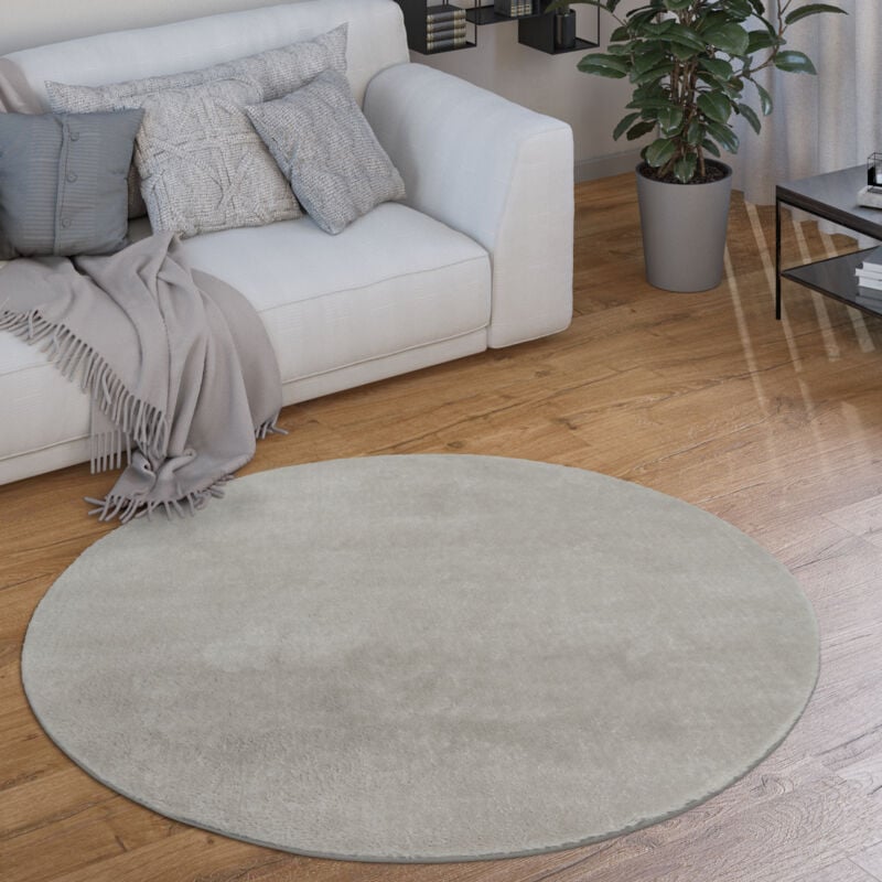 Tapis Rond Salon Tapis Poil Ras Moderne Moelleux Lavable Monochrome Argent, 160 cm rond - Paco Home