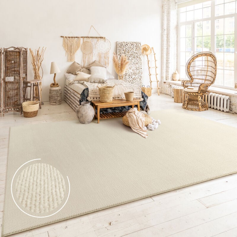 Paco Home Tapis Salon Chambre Adulte Poils Ras Boho Motif Scandinave Uni 60x100 cm, Beige