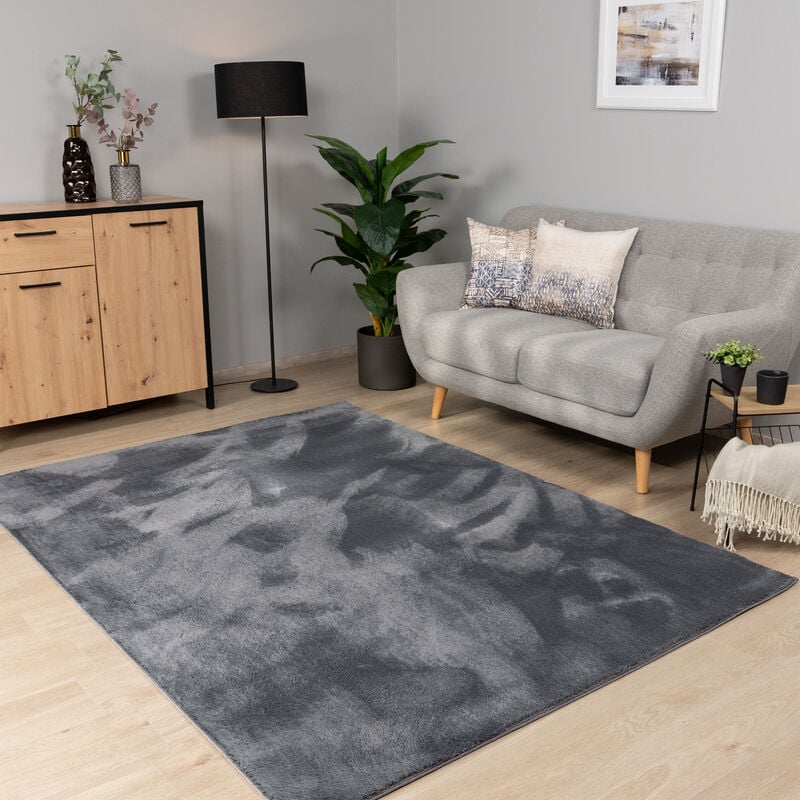 Tapis Salon Chambre Adulte Poils Ras Lavable En Machine Uni Moelleux Anthracite, 200x280 cm - Paco Home