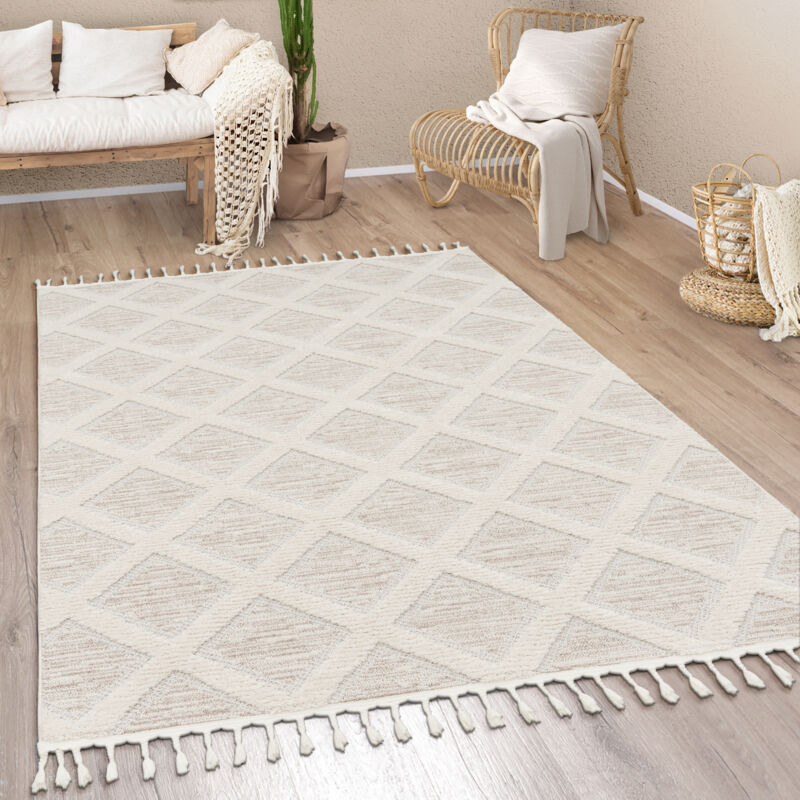 Paco Home Tapis Salon Chambre Adulte Poils Ras Moderne Boho Ethnique Scandinave Franges 120x170 cm, Multicolore 3