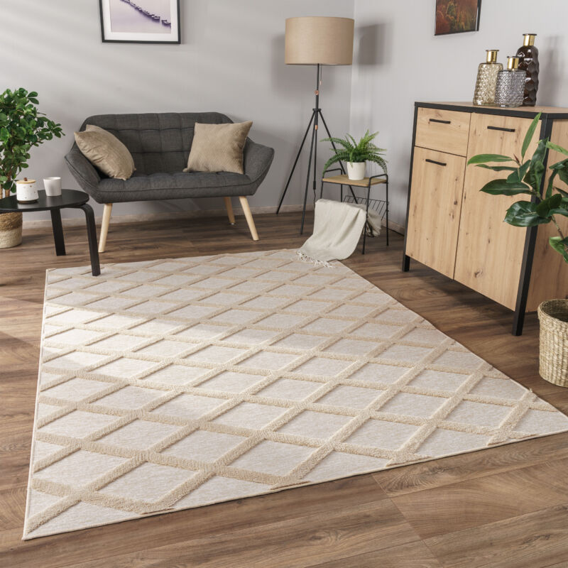 Paco Home - Tapis Salon Chambre Adulte Poils Ras Motif Boho Motif Scandinave 3D 160x220 cm, Beige