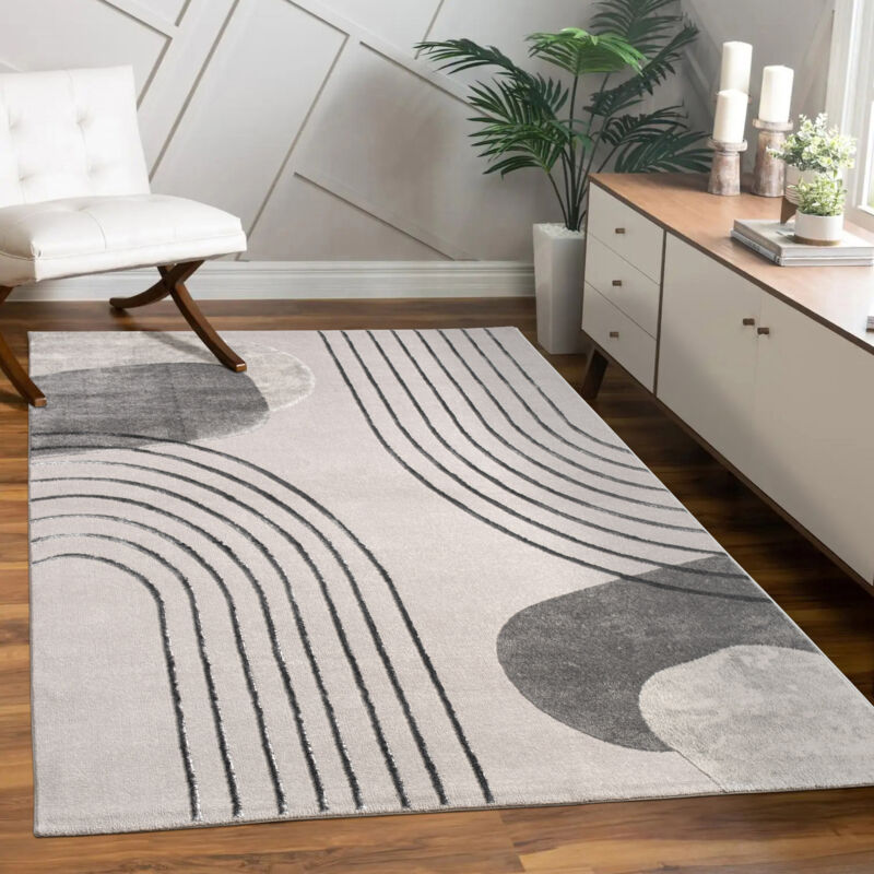 Paco Home - Tapis Salon Chambre Adulte Poils Ras Motif Fleuri Arc-en-ciel Motif Geometrique 80x150 cm, Gris 4