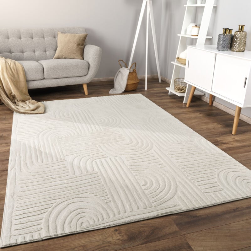 Tapis Salon Chambre Adulte Poils Ras Scandinave Motif Boho Motif Geometrique 160x220 cm, Crème 7 - Paco Home