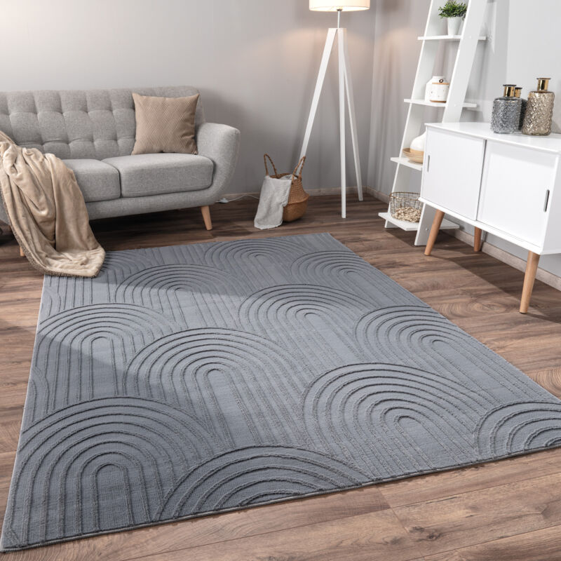 Paco Home - Tapis Salon Chambre Adulte Poils Ras Scandinave Motif Boho Motif Geometrique 120x160 cm, Anthracite 4