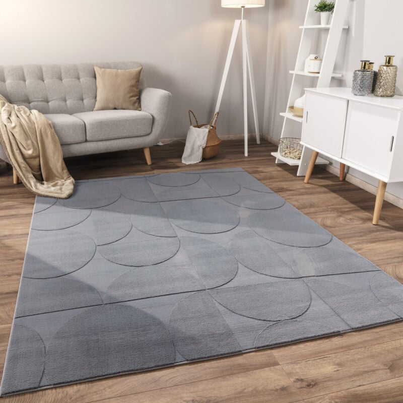 Tapis Salon Chambre Adulte Poils Ras Scandinave Motif Boho Motif Geometrique 160x220 cm, Anthracite 6 - Paco Home