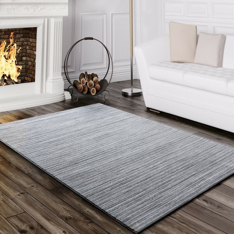 Paco Home - Tapis Salon Moderne Fil Scintillant Rayé Lignes Poils Ras Chiné Gris 80x150 cm