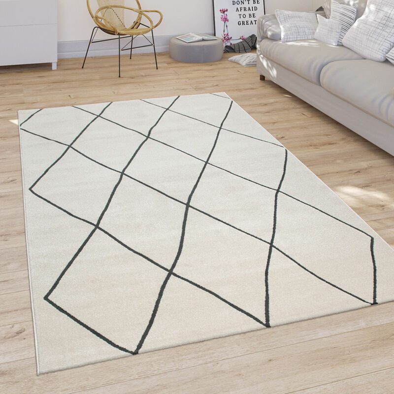 Paco Home Tapis Salon Motif Losanges Scandinave Poils Ras Clair Et Moderne Blanc 120x170 cm