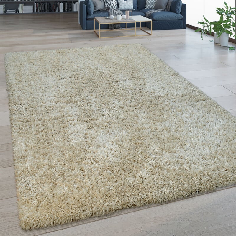 Paco Home - Tapis Salon Poils Longs Lavable Shaggy Aspect Flokati Uni Beige 120x160 cm