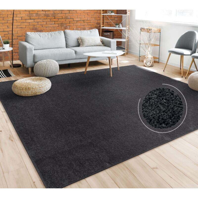 Tapis Salon Uni Sobre Et Moderne Poils Ras, Diff. Tailles/Coloris 120x170 cm, Noir - Paco Home