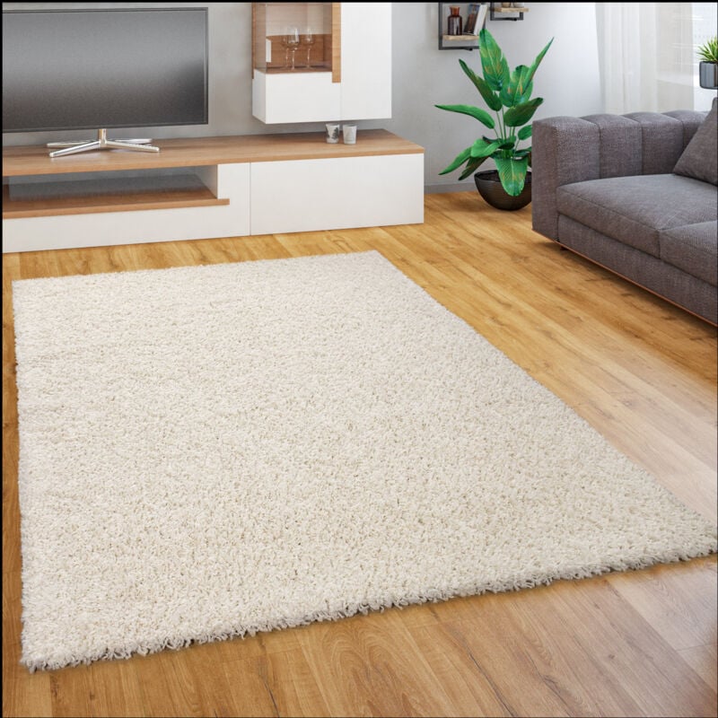 Paco Home - Tapis Salon Chambre Adulte Poil Long Shaggy Pelucheux Uni Moderne Moelleux 80x150 cm, Ivoire (Crème)