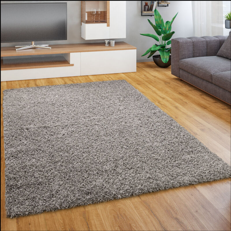 Tapis Salon Chambre Adulte Poil Long Shaggy Pelucheux Uni Moderne Moelleux 80x150 cm, Gris - Paco Home