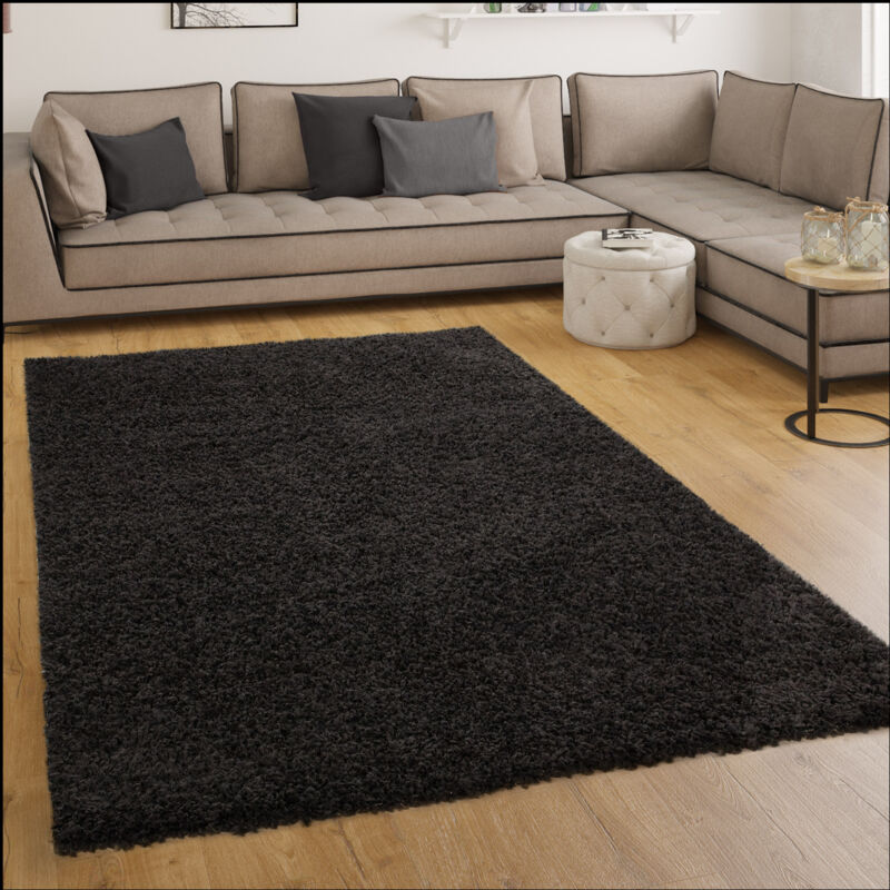 Tapis Shaggy Longues Mèches En Noir 160 cm rond - Paco Home