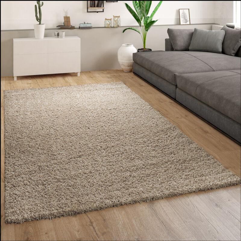 Tapis Shaggy Poils Longs Salon Marron Doux Moelleux Robuste 200x280 cm - Paco Home