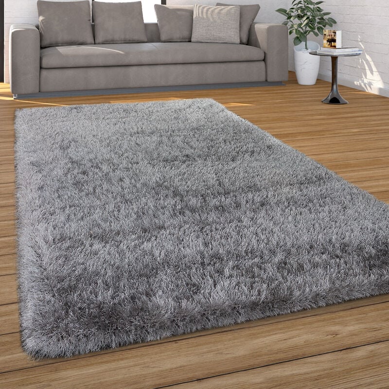 Tapis Salon Chambre Adulte Poil Long Shaggy Uni Pelucheux Moderne 160x230 cm, Gris - Paco Home