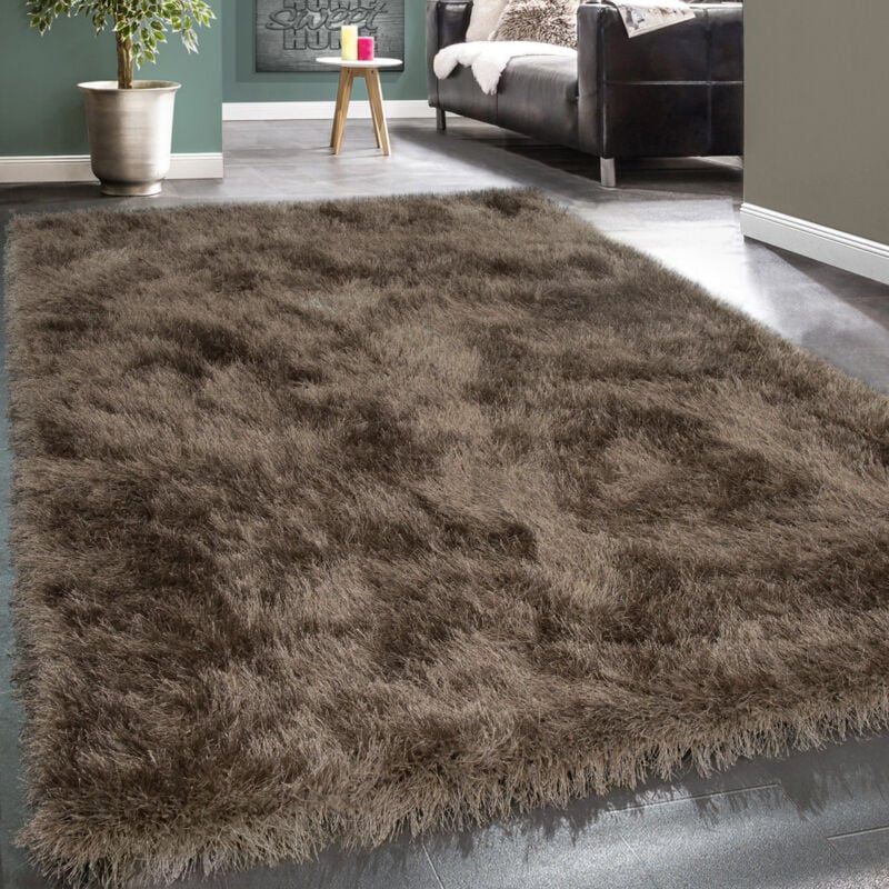 Tapis Salon Chambre Adulte Poil Long Shaggy Uni Pelucheux Moderne 120x170 cm, Beige - Paco Home