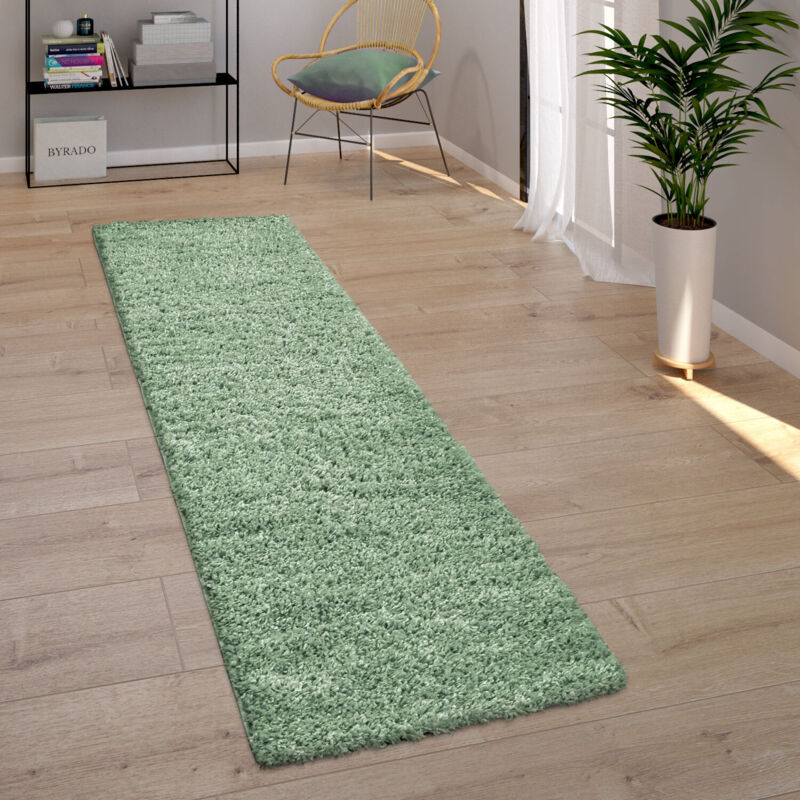 Paco Home - Tapis Shaggy Salon Vert Poils Longs Moelleux Doux Robuste 70x250 cm