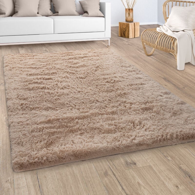Tapis Shaggy Tapis De Salon Fausse Fourrure Poil Long Moelleux Monochrome Beige 140x200 cm - Paco Home