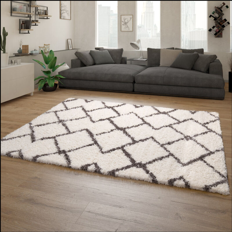 Tapis Shaggy Tapis De Salon Poil Long Motif Scandinave Moderne Gris Blanc Cassé 60x90 cm - Paco Home