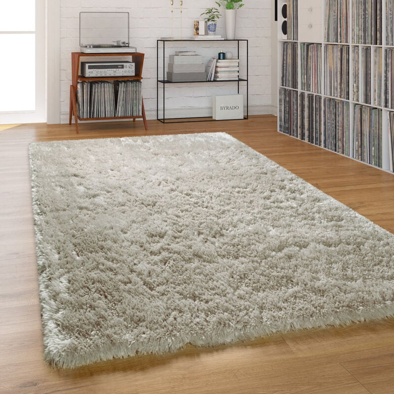 Tapis Shaggy Tapis Salon Poil Long Pastel Monochrome Doux Moelleux Poils Longs 120x170 cm, Gris - Paco Home