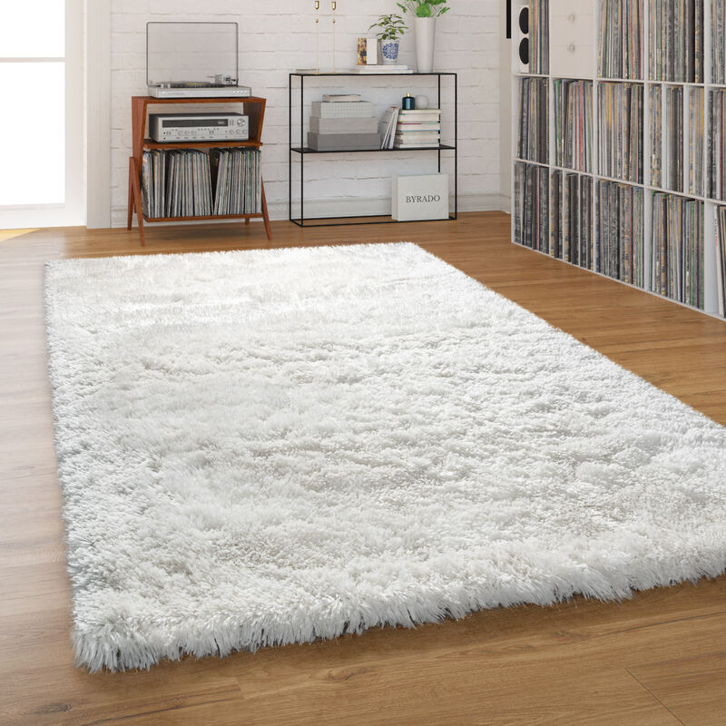 Tapis Shaggy Tapis Salon Poil Long Pastel Monochrome Doux Moelleux Poils Longs 60x100 cm, Crème - Paco Home
