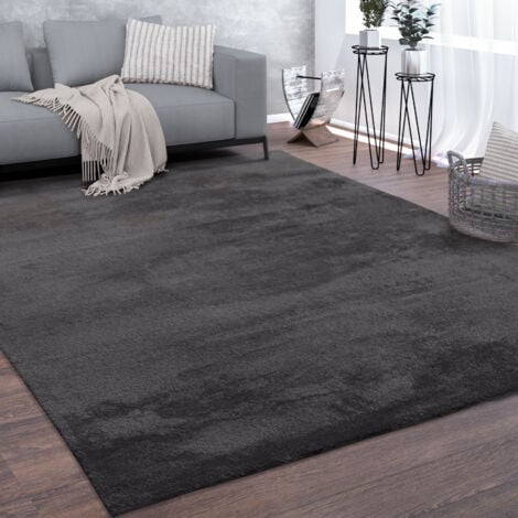 Paco Home Tapis, Tapis À Poils Ras Doux Pour Salon, Moelleux, Lavable, Gris Foncé 120x170 cm