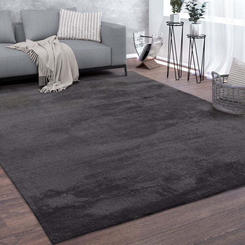 Tapis, Tapis à Poils Ras Doux Pour Salon, Moelleux, Lavable, Gris Foncé 200 cm rond - Paco Home