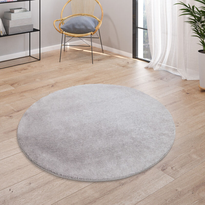 Tapis, Tapis à Poils Ras Doux Pour Salon, Très Moelleux, Lavable, Gris 120 cm rond - Paco Home