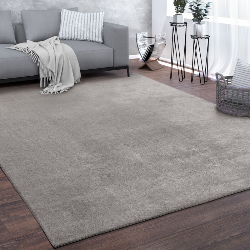 Paco Home - Tappeto Salotto Pelo Corto Lavabile Monocolore Moderno Morbido Grigio 120x170 cm