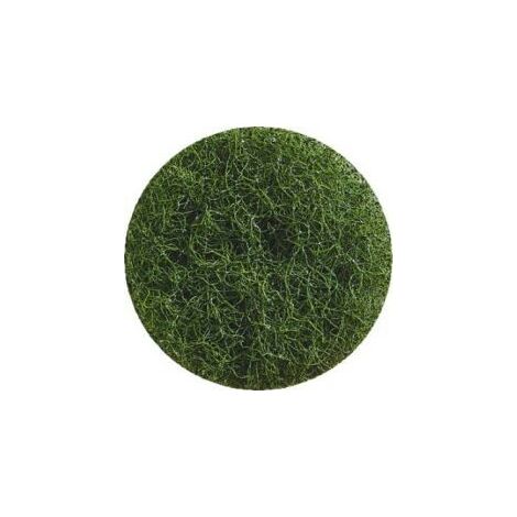 PAD - Carton de 5 disques de nettoyage diamètre 432 vert - 535281 - Ce produit de marque PAD est neuf.