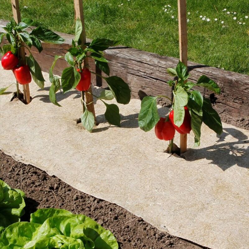 Paillage naturel 75 x 500 cm - pour jardin et potager 100% biodégradable - 500 g/m2 - Nortene