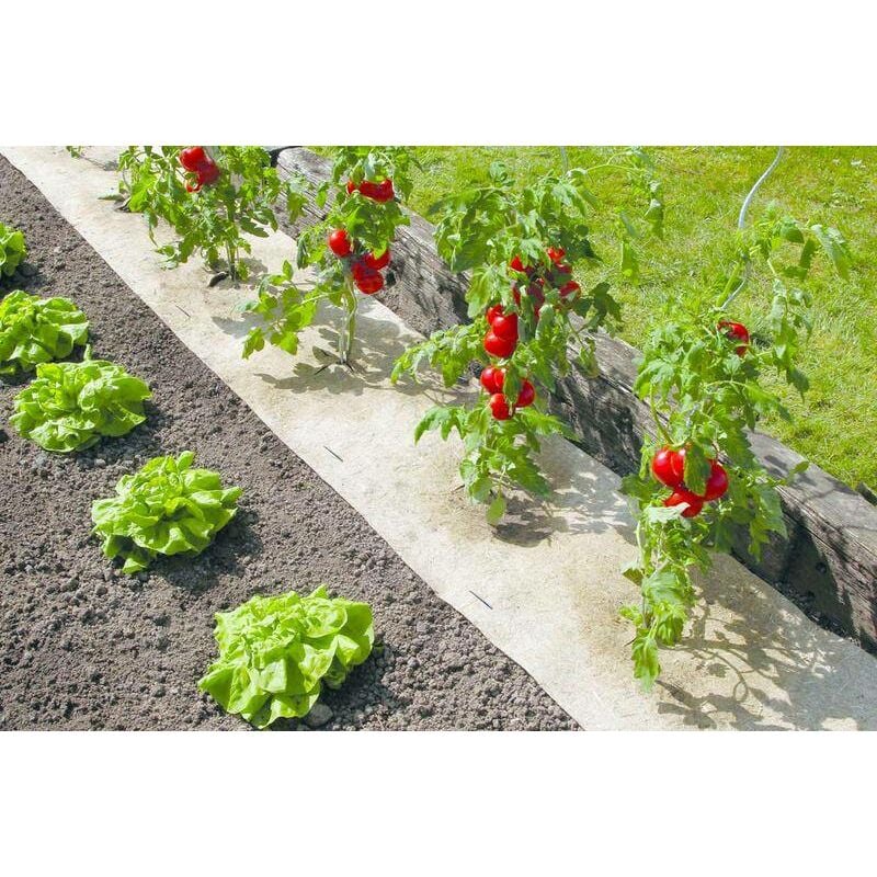 Paillage naturel 50 x 300 cm - pour jardin et potager 100% biodégradable - 500 g/m2 - Nortene