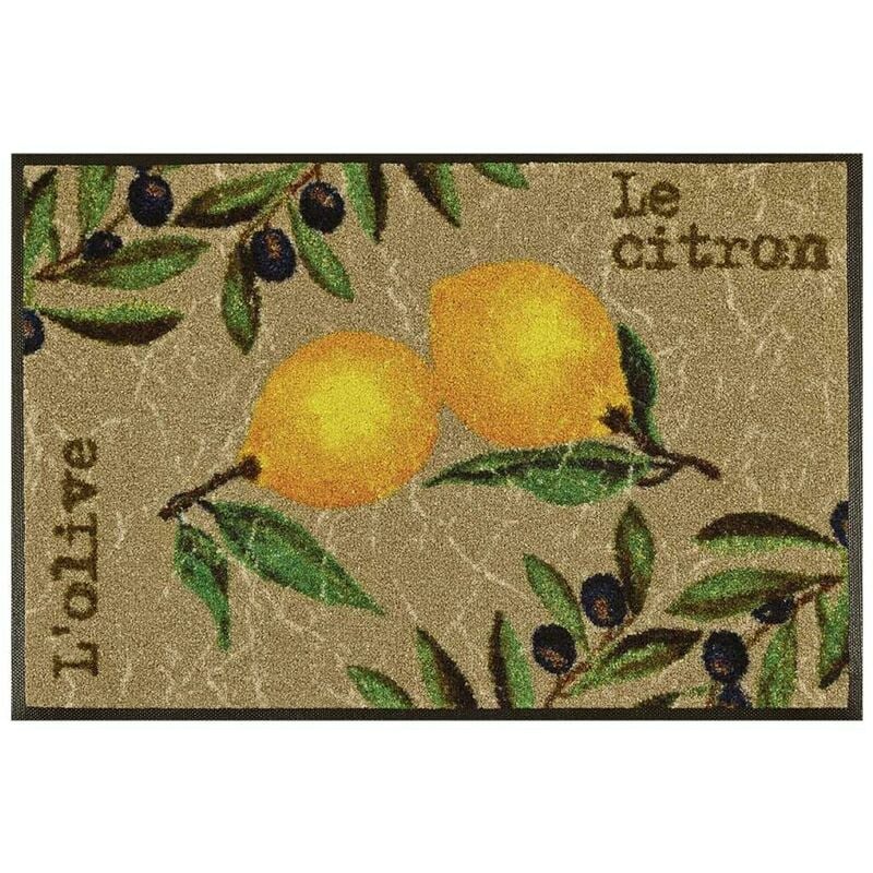 

Masson Lemon TX en poliamida marrón - Marron
